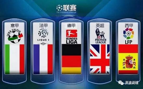 NFL对脑
